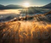 2020足球比分直播-2020足球比分直播，一场数字时代的绿茵盛宴，连接全球球迷的激情纽带